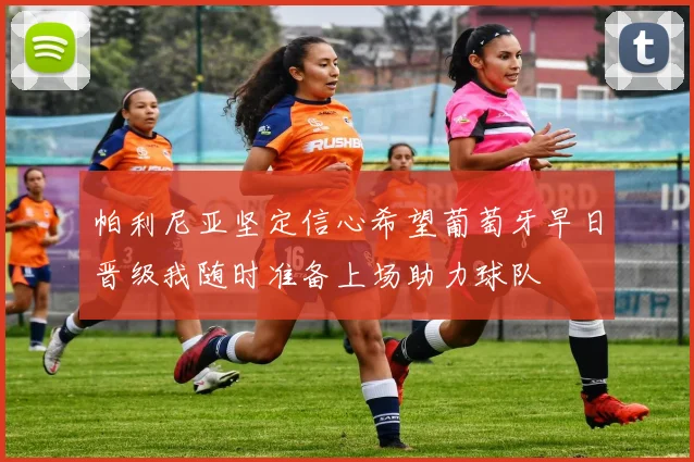 帕利尼亚坚定信心希望葡萄牙早日晋级我随时准备上场助力球队