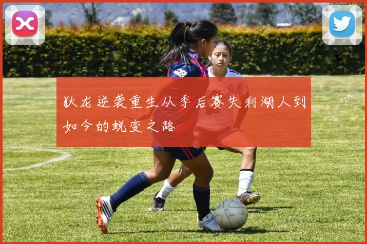 狄龙逆袭重生从季后赛失利湖人到如今的蜕变之路